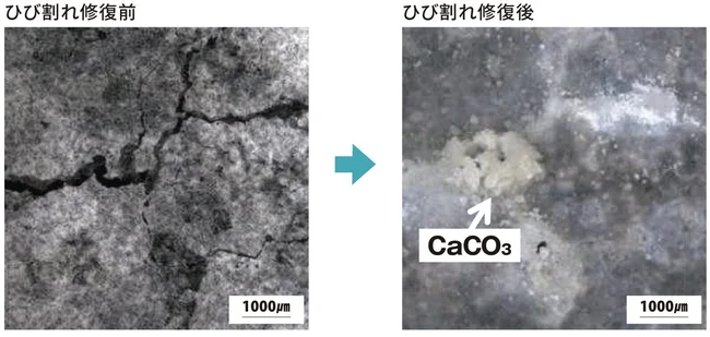 ひび割れの自己治癒効果